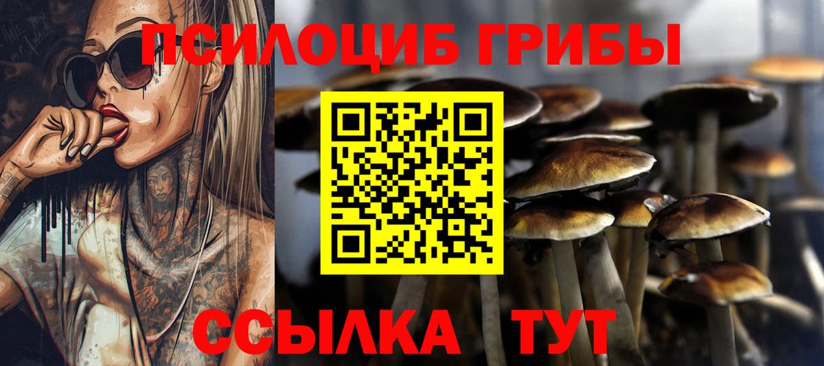 Псилоцибиновые грибы GOLDEN TEACHER Фурманов